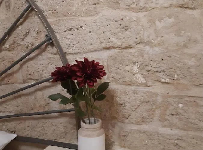 Apartment Dimora Acqua Di Sale *